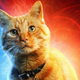 Ilustración para el artículo titulado Captain Marvel: todo lo que necesitas saber sobre la película que servirá de prólogo a Avengers: Endgame